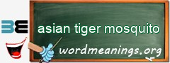 WordMeaning blackboard for asian tiger mosquito